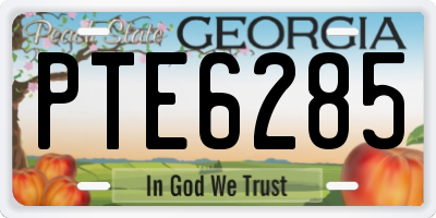 GA license plate PTE6285