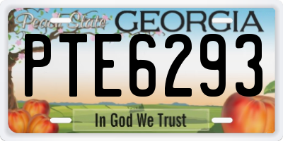 GA license plate PTE6293