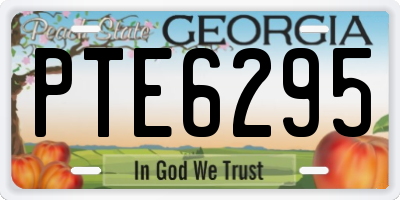 GA license plate PTE6295