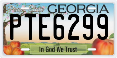 GA license plate PTE6299