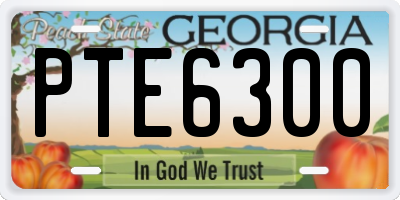 GA license plate PTE6300