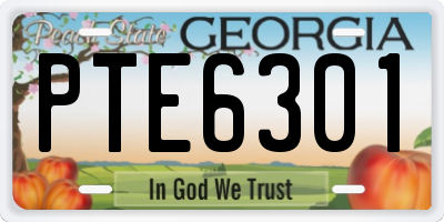 GA license plate PTE6301