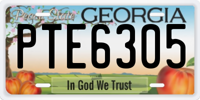 GA license plate PTE6305