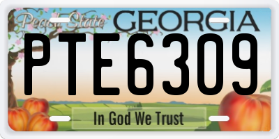 GA license plate PTE6309