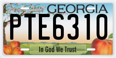 GA license plate PTE6310