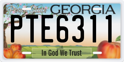 GA license plate PTE6311