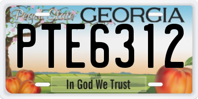 GA license plate PTE6312