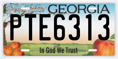 GA license plate PTE6313