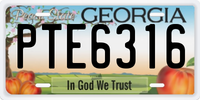 GA license plate PTE6316