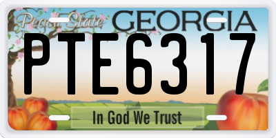 GA license plate PTE6317