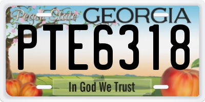 GA license plate PTE6318