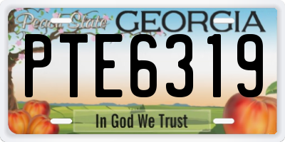 GA license plate PTE6319