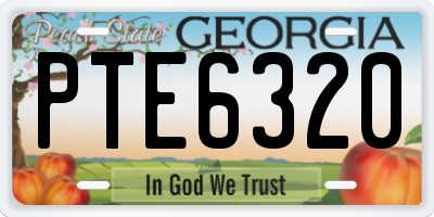 GA license plate PTE6320