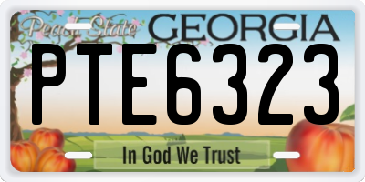 GA license plate PTE6323