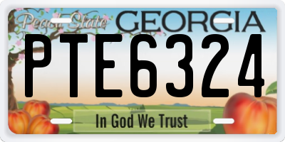 GA license plate PTE6324