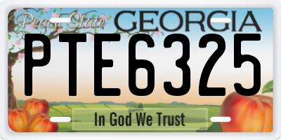 GA license plate PTE6325