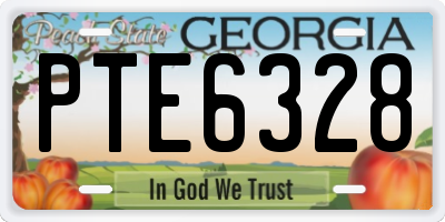 GA license plate PTE6328