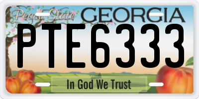GA license plate PTE6333