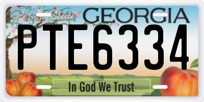 GA license plate PTE6334