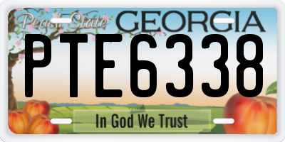 GA license plate PTE6338