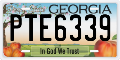 GA license plate PTE6339