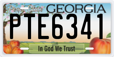 GA license plate PTE6341