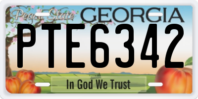 GA license plate PTE6342