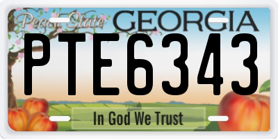 GA license plate PTE6343