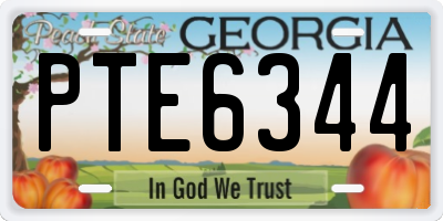 GA license plate PTE6344
