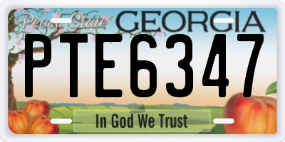 GA license plate PTE6347