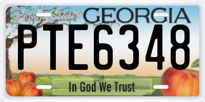GA license plate PTE6348