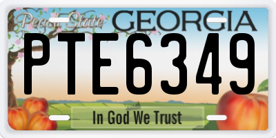 GA license plate PTE6349