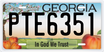 GA license plate PTE6351