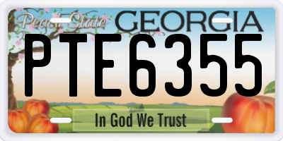 GA license plate PTE6355