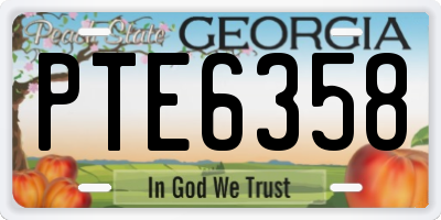 GA license plate PTE6358
