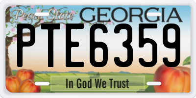 GA license plate PTE6359