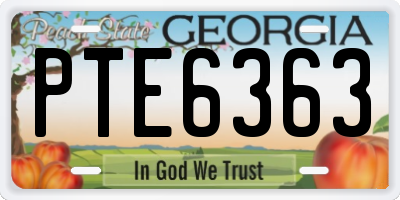GA license plate PTE6363
