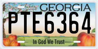 GA license plate PTE6364
