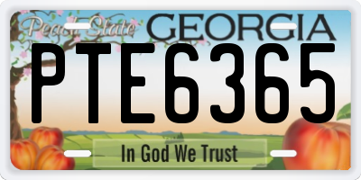 GA license plate PTE6365