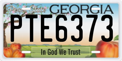 GA license plate PTE6373