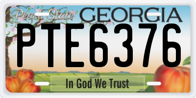 GA license plate PTE6376
