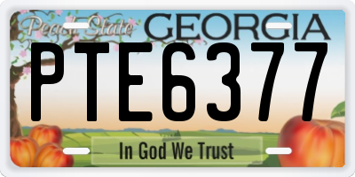 GA license plate PTE6377