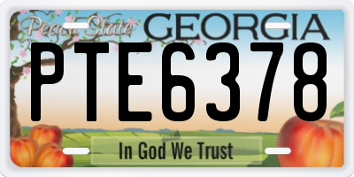 GA license plate PTE6378