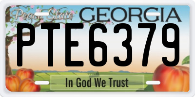GA license plate PTE6379
