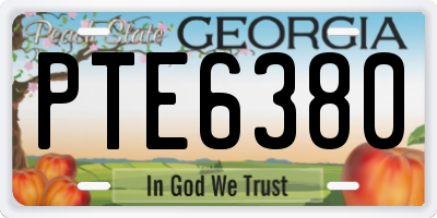 GA license plate PTE6380