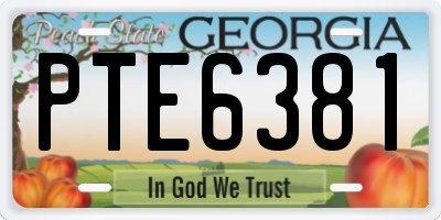 GA license plate PTE6381