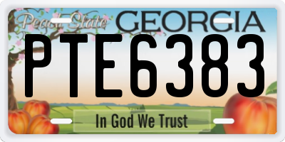 GA license plate PTE6383