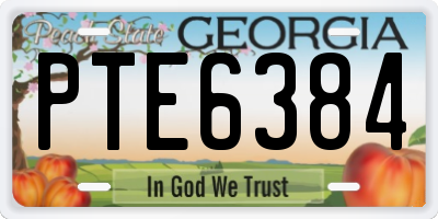 GA license plate PTE6384