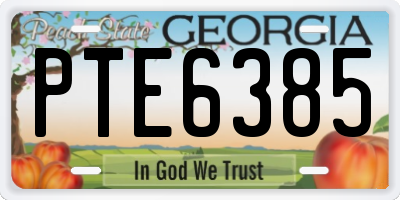 GA license plate PTE6385