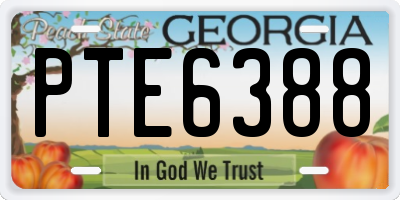 GA license plate PTE6388